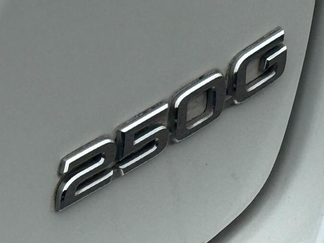 マークＸ ２５０Ｇ　リラックスセレクション　／Ｇ’Ｓバンパー／ＥＬＥＧＡＮＴ　ＳＴＹＬＩＮＧ１８ＡＷ／ＲＳＲダウンサス／クリアテールランプ／ＬＥＤウィンカー／メーカーナビ／フルセグＴＶ／Ｂｌｕｅｔｏｔｈｈ／ＤＶＤ／Ｂカメラ／パワーシート／ＥＴＣ（22枚目）