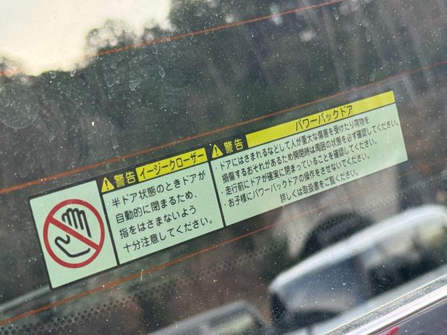 �C�[�W�[�N���[�U�[