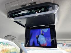 ƥ 饹ץߥ२ǥ󡡶ر̻֡ͼ 0700435A30251207W002 5