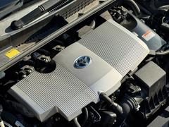 �ץꥦ�� �ӡ������եƥ����󥹡��ץꥯ��å��塡�졼�������롼������ȥ����롡�����ʥ� 0700435A30251211W001 5