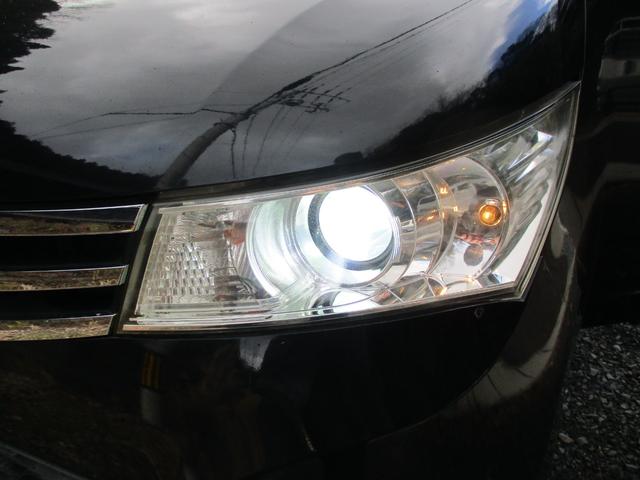 �����g�h�c���C�g