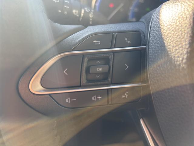 ヴォクシー ハイブリッドＳ－Ｚ　両側パワースライドドア　ユニバーサルステップ　リヤオートエアコン　ＡＣ１００Ｖ　パワーバックドア　１０．５インチディスプレイオーディオ　ＬＥＤヘッドライト　快適利便パッケージ（32枚目）