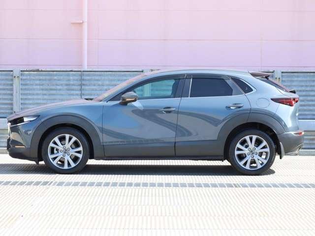 ＣＸ－３０ ２．０　２０Ｓ　マツダ認定中古車　衝突被害軽減ブレーキ　ビ（18枚目）