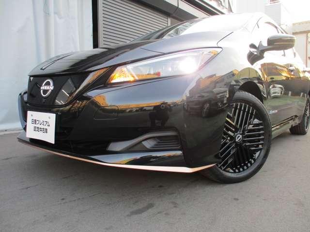 リーフ Ｘ　Ｖセレクション　９０周年記念車　日産純正メーカーナビ　プロパイロット　試乗車ＵＰ　全方位カメラ　ＬＥＤヘッドライト　インテリキー　レーンキープ　踏み間違い防止　ＥＴＣ　サイドカーテンエアバック　Ｂカメラ　ナビＴＶ（48枚目）