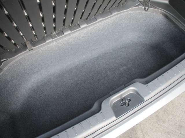 ���Q�b�W�X�y�[�X�̉��ɂ͂���ɂ���Ȃɑ傫�ȃ��Q�b�W�X�y�[�X�������ł���B��ԓ���ȂǕ��i�g��Ȃ����̂͂����ɓ���Ă����Ό����ڂɂ��X�b�L�����܂���ˁB