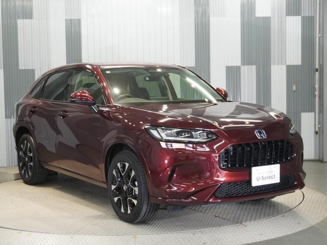 �S���[�Ԃ����X�ɂ��C���������I�k�͖k�C�������͉���܂ł��[�ԏo���܂��I���₢�������҂����Ă���܂��I