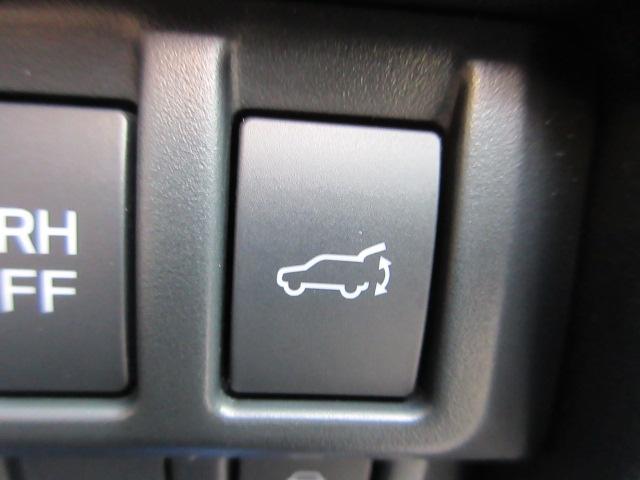 フォレスター Advance アイサイト SD地デジナビ ドラレコ ETC バックカメラ サイドカメラ フロントカメラ AVH VDC X-MODE LEDヘッドライト フォグランプ リヤビークルディデクション ドライバーズモニタリングシステム パドルシフト(56枚目)