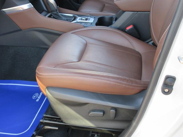 フォレスター Advance アイサイト 地デジナビ ETC バックカメラ サイドカメラ フロントカメラ AVH VDC X-MODE LEDヘッドライト フォグランプ リヤビークルディデクション ドライバーズモニタリングシステム パドルシフト(31枚目)