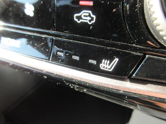 フォレスター Advance アイサイト 地デジナビ ETC バックカメラ サイドカメラ フロントカメラ AVH VDC X-MODE LEDヘッドライト フォグランプ リヤビークルディデクション ドライバーズモニタリングシステム パドルシフト(33枚目)