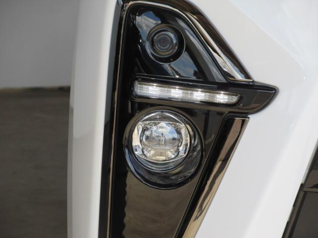 フォグランプは、霧の中や、細い道で視界を確保に最適です