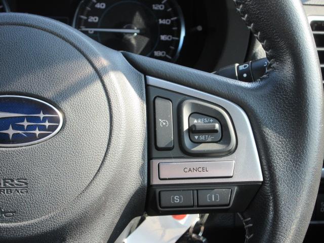 フォレスター 2.0i-L 6MT メモリ地デジナビ バックカメラ ETC VDC LEDヘッドライト LEDアクセサリーライナー ヘッドランプウォッシャー ウインカー付ドアミラー 17インチアルミホイール スペアタイヤ 左右独立温度調整式エアコン(7枚目)