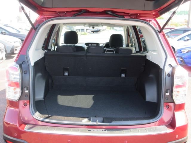 フォレスター 2.0i-L 6MT メモリ地デジナビ バックカメラ ETC VDC LEDヘッドライト LEDアクセサリーライナー ヘッドランプウォッシャー ウインカー付ドアミラー 17インチアルミホイール スペアタイヤ 左右独立温度調整式エアコン(21枚目)