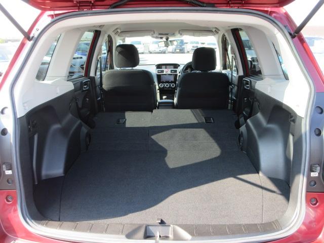 フォレスター 2.0i-L 6MT メモリ地デジナビ バックカメラ ETC VDC LEDヘッドライト LEDアクセサリーライナー ヘッドランプウォッシャー ウインカー付ドアミラー 17インチアルミホイール スペアタイヤ 左右独立温度調整式エアコン(23枚目)