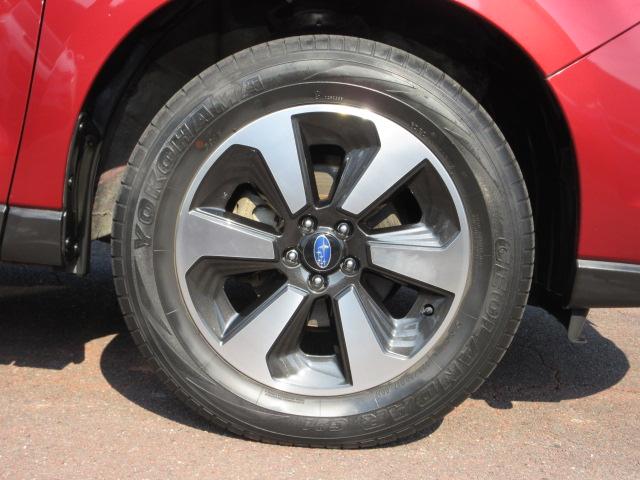 フォレスター 2.0i-L 6MT メモリ地デジナビ バックカメラ ETC VDC LEDヘッドライト LEDアクセサリーライナー ヘッドランプウォッシャー ウインカー付ドアミラー 17インチアルミホイール スペアタイヤ 左右独立温度調整式エアコン(26枚目)