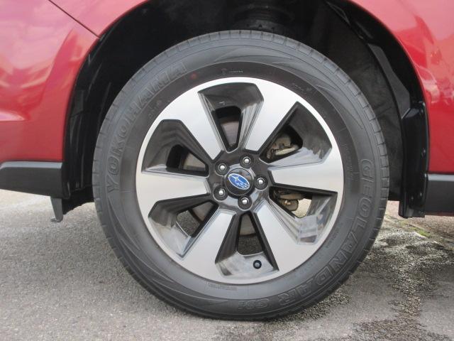 フォレスター 2.0i-L 6MT メモリ地デジナビ バックカメラ ETC VDC LEDヘッドライト LEDアクセサリーライナー ヘッドランプウォッシャー ウインカー付ドアミラー 17インチアルミホイール スペアタイヤ 左右独立温度調整式エアコン(29枚目)