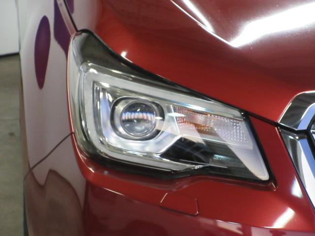フォレスター 2.0i-L 6MT メモリ地デジナビ バックカメラ ETC VDC LEDヘッドライト LEDアクセサリーライナー ヘッドランプウォッシャー ウインカー付ドアミラー 17インチアルミホイール スペアタイヤ 左右独立温度調整式エアコン(30枚目)