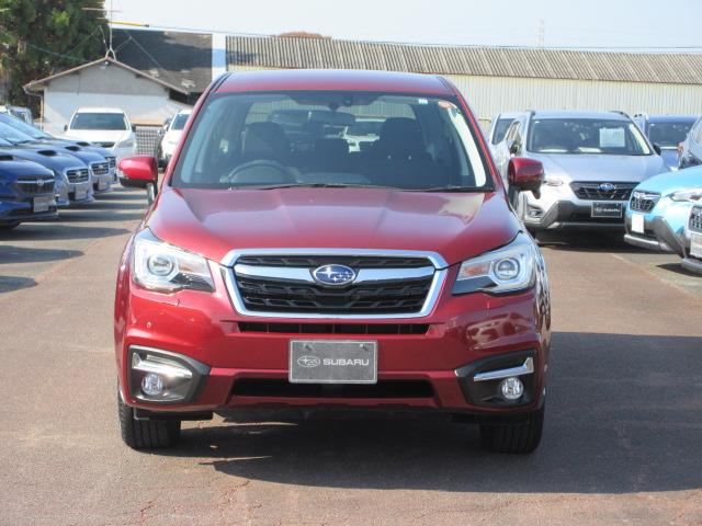 フォレスター 2.0i-L 6MT メモリ地デジナビ バックカメラ ETC VDC LEDヘッドライト LEDアクセサリーライナー ヘッドランプウォッシャー ウインカー付ドアミラー 17インチアルミホイール スペアタイヤ 左右独立温度調整式エアコン(35枚目)