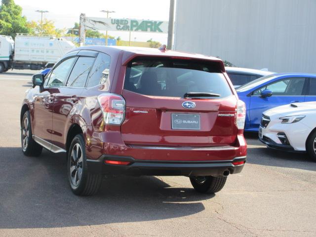 フォレスター 2.0i-L 6MT メモリ地デジナビ バックカメラ ETC VDC LEDヘッドライト LEDアクセサリーライナー ヘッドランプウォッシャー ウインカー付ドアミラー 17インチアルミホイール スペアタイヤ 左右独立温度調整式エアコン(38枚目)