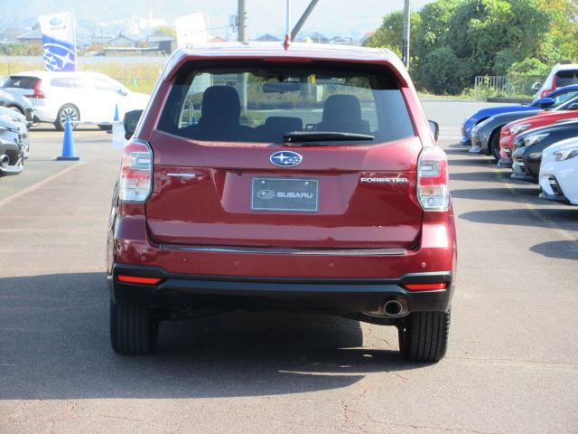 フォレスター 2.0i-L 6MT メモリ地デジナビ バックカメラ ETC VDC LEDヘッドライト LEDアクセサリーライナー ヘッドランプウォッシャー ウインカー付ドアミラー 17インチアルミホイール スペアタイヤ 左右独立温度調整式エアコン(39枚目)