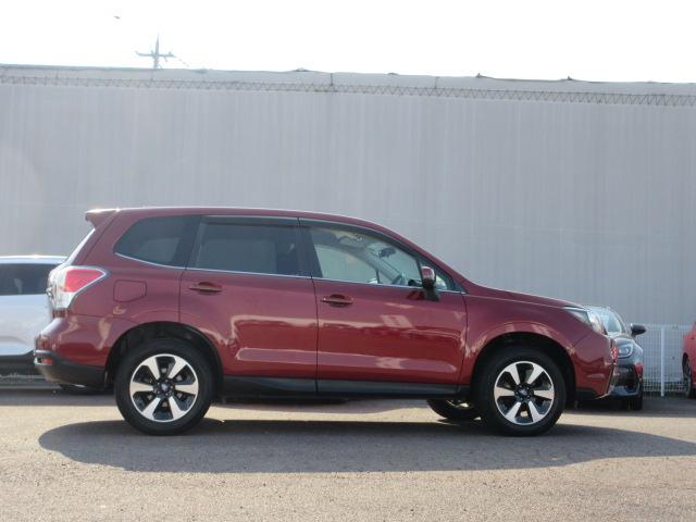 フォレスター 2.0i-L 6MT メモリ地デジナビ バックカメラ ETC VDC LEDヘッドライト LEDアクセサリーライナー ヘッドランプウォッシャー ウインカー付ドアミラー 17インチアルミホイール スペアタイヤ 左右独立温度調整式エアコン(41枚目)