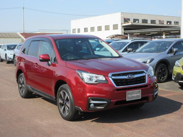 フォレスター 2.0i-L 6MT メモリ地デジナビ バックカメラ ETC VDC LEDヘッドライト LEDアクセサリーライナー ヘッドランプウォッシャー ウインカー付ドアミラー 17インチアルミホイール スペアタイヤ 左右独立温度調整式エアコン(42枚目)