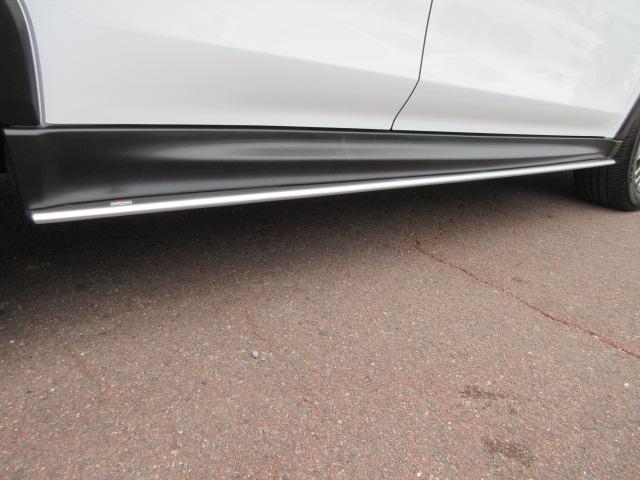 �u�r�s�h�T�C�h�A���_�[�X�|�C���[�v�{�f�B�T�C�h�𗬂���C�𐮗����A�����Ȃǂ̉e�����y�����đ��s���̃t������}���܂��B