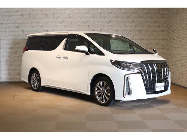 アルファード 2.5S タイプゴールドIII ドライブレコーダー ETC バックカメラ クリアランスソナー オートクルーズコントロール 衝突被害軽減システム 両側電動スライドドア オートマチックハイビーム LEDヘッドランプ 電動リアゲート(13枚目)