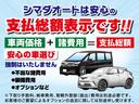 ＲＳ　ドライブレコーダー　ＥＴＣ　バックカメラ　ナビ　ＴＶ　アルミホイール　オートライト　ＬＥＤヘッドランプ　スマートキー　ＣＶＴ　盗難防止システム　衝突安全ボディ　記録簿　ＡＢＳ　ＥＳＣ　ＣＤ(39枚目)