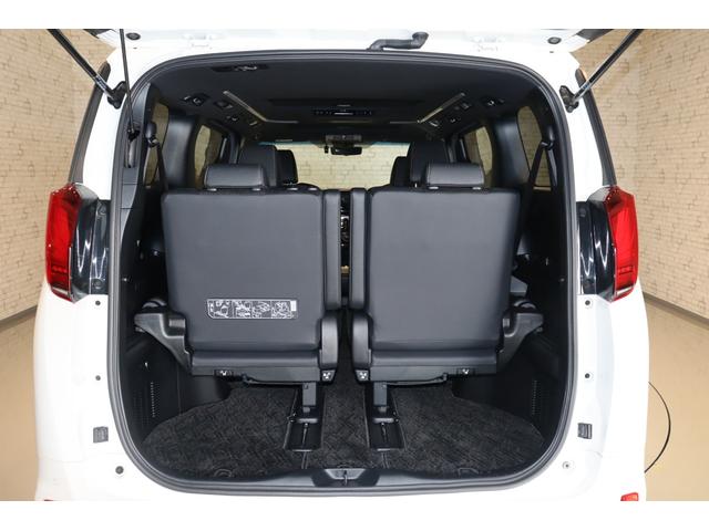 2.5S タイプゴールドII ドライブレコーダー バックカメラ ナビ TV クリアランスソナー オートクルーズコントロール レーンアシスト 衝突被害軽減システム 両側電動スライドドア LEDヘッドランプ サンルーフ 電動リアゲート(19枚目)