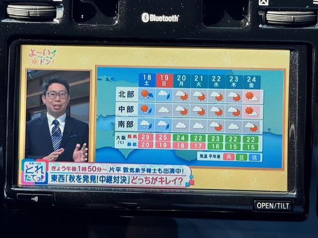 リーフ Ｘ（３０ｋｗｈ）　ＥＴＣ　バックカメラ　ナビ　ＴＶ　オートクルーズコントロール　衝突被害軽減システム　アルミホイール　スマートキー　シートヒーター　ＣＶＴ　盗難防止システム　衝突安全ボディ　記録簿　ＡＢＳ　ＥＳＣ　ＣＤ（38枚目）