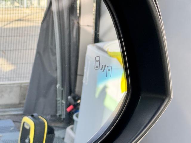 アルファード ２．５Ｓ　タイプゴールド　ドライブレコーダー　バックカメラ　ナビ　ＴＶ　クリアランスソナー　オートクルーズコントロール　レーンアシスト　衝突被害軽減システム　両側電動スライドドア　オートマチックハイビーム　ＬＥＤヘッドランプ（35枚目）