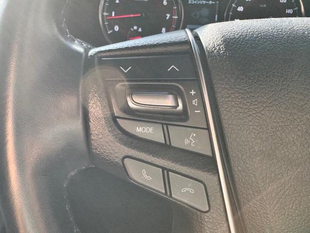 アルファード ２．５Ｓ　タイプゴールド　ドライブレコーダー　バックカメラ　ナビ　ＴＶ　クリアランスソナー　オートクルーズコントロール　レーンアシスト　衝突被害軽減システム　両側電動スライドドア　オートマチックハイビーム　ＬＥＤヘッドランプ（45枚目）