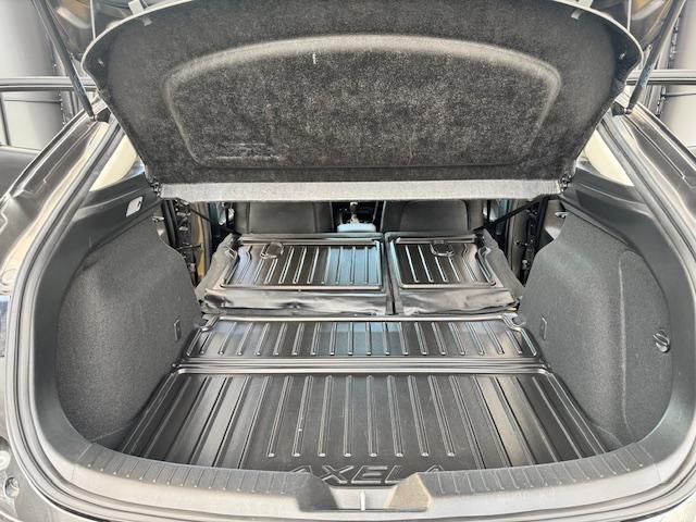 MAZDA AXELA SPORT 22XD L PACKAGE