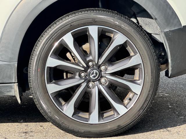 ���̓x�͓��X�̂��Ԃ������ɂȂ��Ă��������A���ɂ��肪�Ƃ��������܂��B�������茻�Ԋm�F���Ē�����悤�A��������v���܂��I