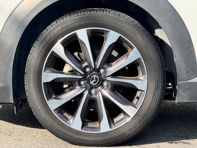 ���X�̂��Ԃ��������������܂��Ă��肪�Ƃ��������܂��B���Ԃɂ��Ă̂�����₨���ς�̂��˗��A���w���ɂ������Ă̂����k�Ȃǂ��C�y�ɂ��₢���킹�������I