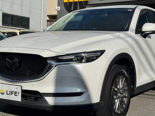 ���̓x�͓��X�̂��Ԃ������ɂȂ��Ă��������A���ɂ��肪�Ƃ��������܂��B���Ђ�������Ƃ������������B�C�y�ɂ��⍇���E�����ς肨�҂����Ă���܂��B