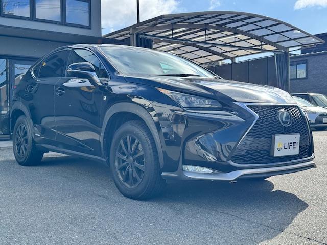 ＮＸ ＮＸ３００ｈ　Ｆスポーツ　４ＷＤ　ドライブレコーダー　バックカメラ　クリアランスソナー　オートクルーズコントロール　レーンアシスト　パワーシート　衝突被害軽減システム　ＴＶ　オートマチックハイビーム　オートライト（14枚目）