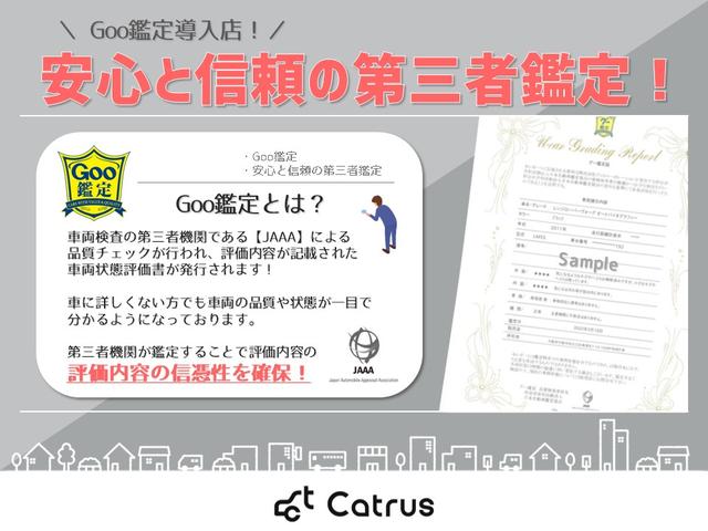 プラチナム/アルミホイール20インチ/革シート/バックカメラ/スマートキー/ワンオーナー/ウォークスルー/サンルーフ(6枚目)