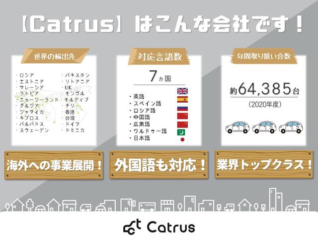 プラチナム/アルミホイール20インチ/革シート/バックカメラ/スマートキー/ワンオーナー/ウォークスルー/サンルーフ(16枚目)