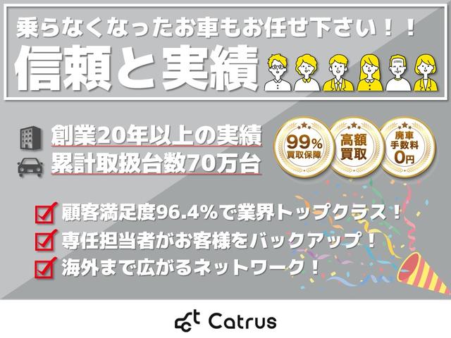 プラチナム/アルミホイール20インチ/革シート/バックカメラ/スマートキー/ワンオーナー/ウォークスルー/サンルーフ(22枚目)