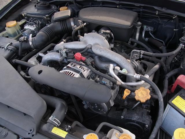 �����Ό��S�C���c�n�g�b�P�U�o���u�A�d�k�P�T�G���W���I