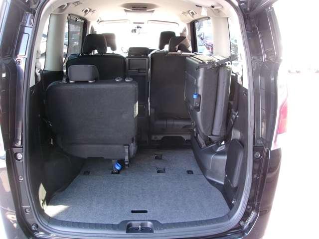 セレナ 2.0 X ワンオ-ナ-車 オートクルーズコントロール インテリジェントキー Aストップ レーンキープ キーレス メモナビ ワンセグテレビ パワーウインドウ ナビTV ABS 盗難防止システム パワーステアリング(16枚目)