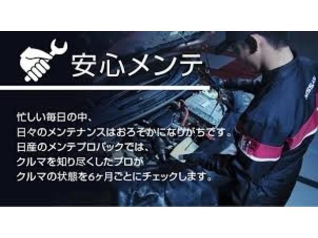 オイルやオイルフィルター交換といったお車のメンテナンス（セーフティ６か月、法定１２か月点検）をまとめてお引き受けできる割安・安心のサポートプラン「日産メンテプロパック」も有料にて承り出来ます。