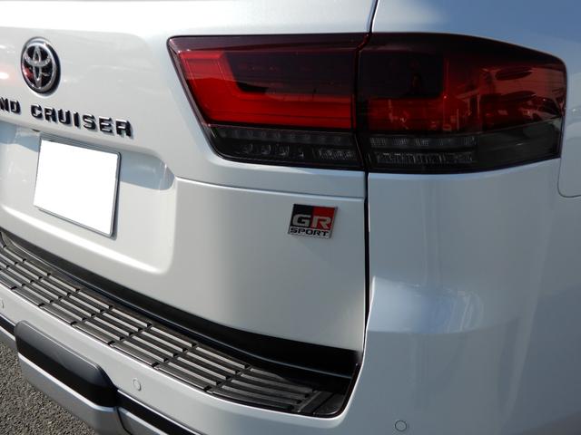 ランドクルーザー ＧＲスポーツ　後席モニター２つ　アラウンドビュー　オートハイビーム　セキュリティー　レーンキープアシスト　ＬＥＤヘッドライト　レザーシート　バックカメラ　オートクルーズコントロール　オートライト　パワーバックドア（15枚目）