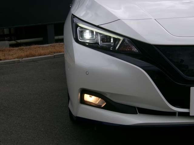 �k�d�c�w�b�h���C�g�E�n���Q���t�H�O�����v�����ŁA�铹�����邭�T�|�[�g���Ă���܂��B