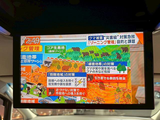 ヴェルファイア ２．５Ｚ　Ｇエディション　（禁煙車）（黒半革シート）（両側パワスラ）（アルパインフリップダウン）（アルパインＳＤナビ）（バックカメラ）（クルコン）（パワーシート）（電動リアゲート）（ビルトインＥＴＣ）（純正１８インチＡＷ）（64枚目）