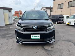 ƻɣùߤƣʬƸ̵ؤǤΤŹ⤴̲ĶȻ֣ 7