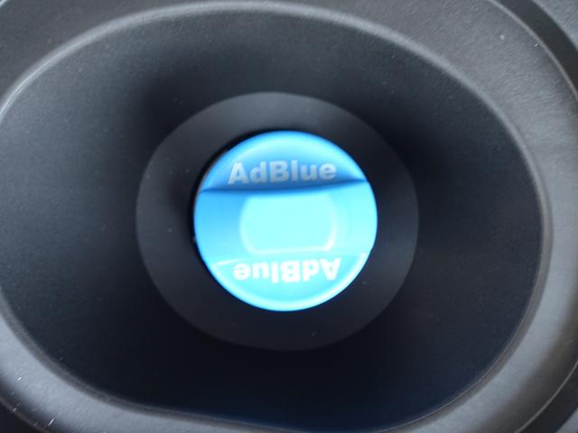 デリカD:5 シャモニー 10.1型ナビゲーション 前方ドラレコ ETC シートヒーター 電動サイドステップ エレクトリックテールゲート レーダークルーズコントロールシステム マルチアラウンドモニター(66枚目)