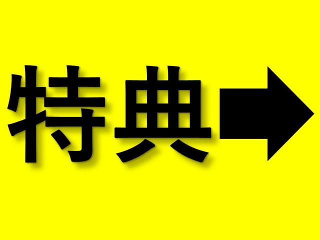 ｅＫスペース Ｇ　純正９型メモリーナビ　バックカメラ　リヤサーキュレーター　助手席シートバックテーブル　サイド・カーテンエアバッグ　ＬＥＤヘッドライト（4枚目）