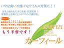 Ｇ　前後コーナーセンサー　Ｍナビ　ドラレコ（28枚目）